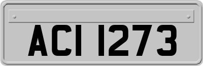 ACI1273