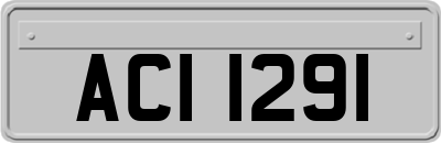 ACI1291