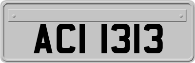 ACI1313