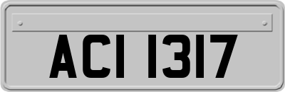 ACI1317