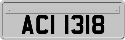 ACI1318