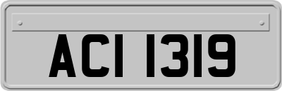 ACI1319