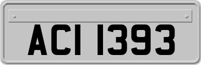 ACI1393