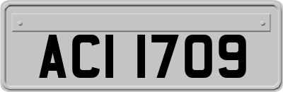 ACI1709