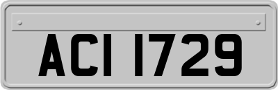 ACI1729