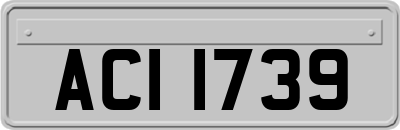 ACI1739