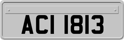 ACI1813