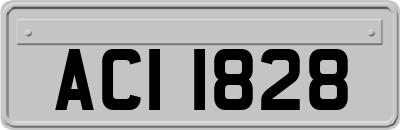 ACI1828