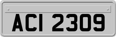ACI2309