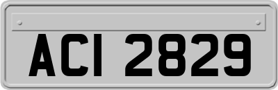ACI2829