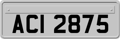 ACI2875