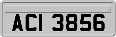 ACI3856