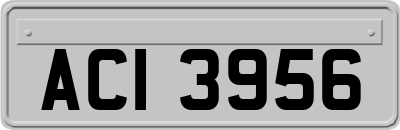 ACI3956