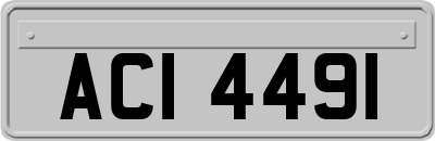 ACI4491