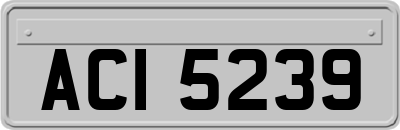 ACI5239