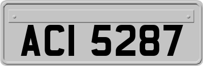 ACI5287