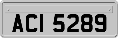 ACI5289