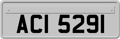 ACI5291
