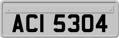 ACI5304