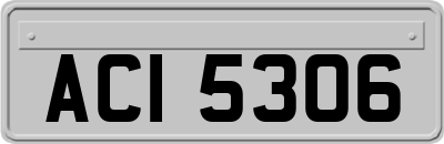 ACI5306