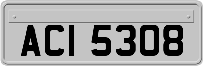 ACI5308