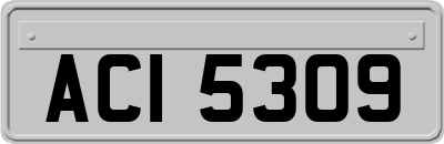 ACI5309
