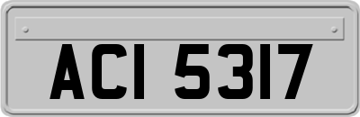 ACI5317