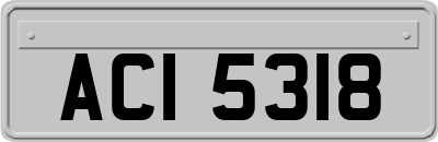 ACI5318
