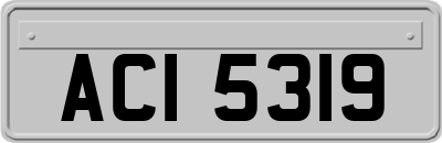 ACI5319
