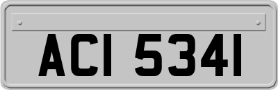 ACI5341