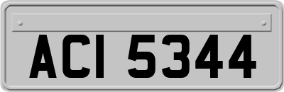 ACI5344