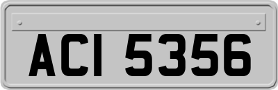 ACI5356