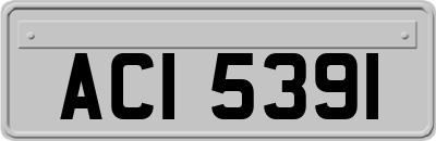 ACI5391