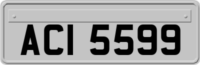 ACI5599