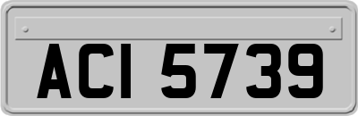 ACI5739