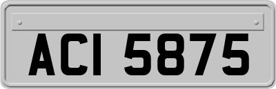 ACI5875