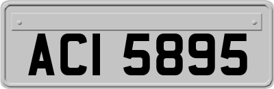 ACI5895