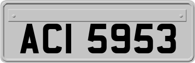 ACI5953