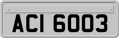 ACI6003