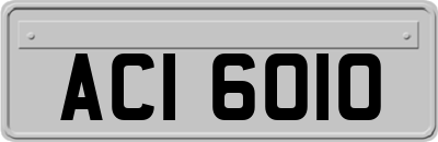 ACI6010