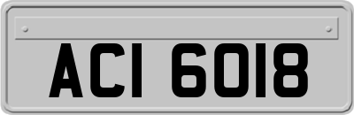 ACI6018