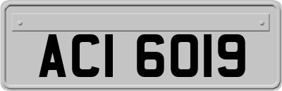 ACI6019