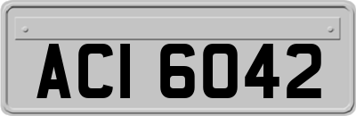 ACI6042