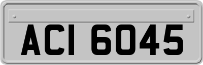 ACI6045