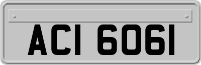 ACI6061