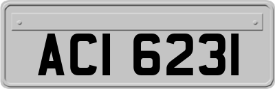 ACI6231