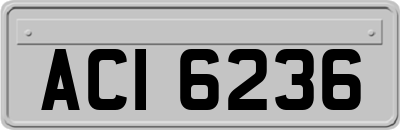 ACI6236