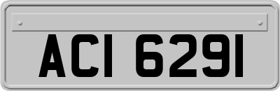 ACI6291