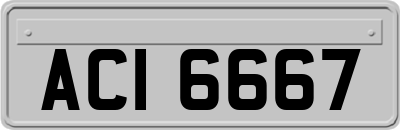 ACI6667