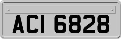 ACI6828